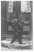 Duke Street/Bear outside the Wellington 1910 [PC]